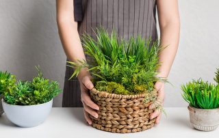 Planter Stains