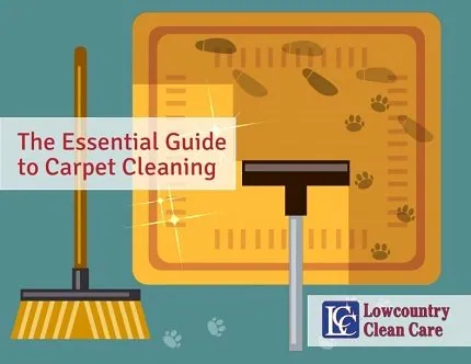 The Essential Guide to Carpet Cleaning
