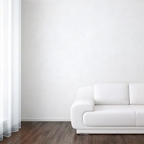 Carpet & Upholstery