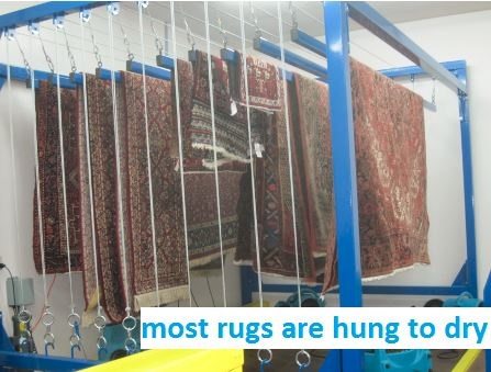 Lowcountry Clean Care Jobs Gallery Rug Cleaning 4